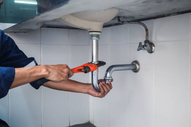 Best Leak Detection Services  in Ofallon, MO